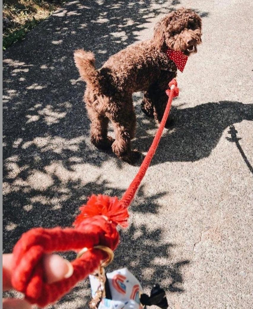 Rope Leash - Sunny Daze