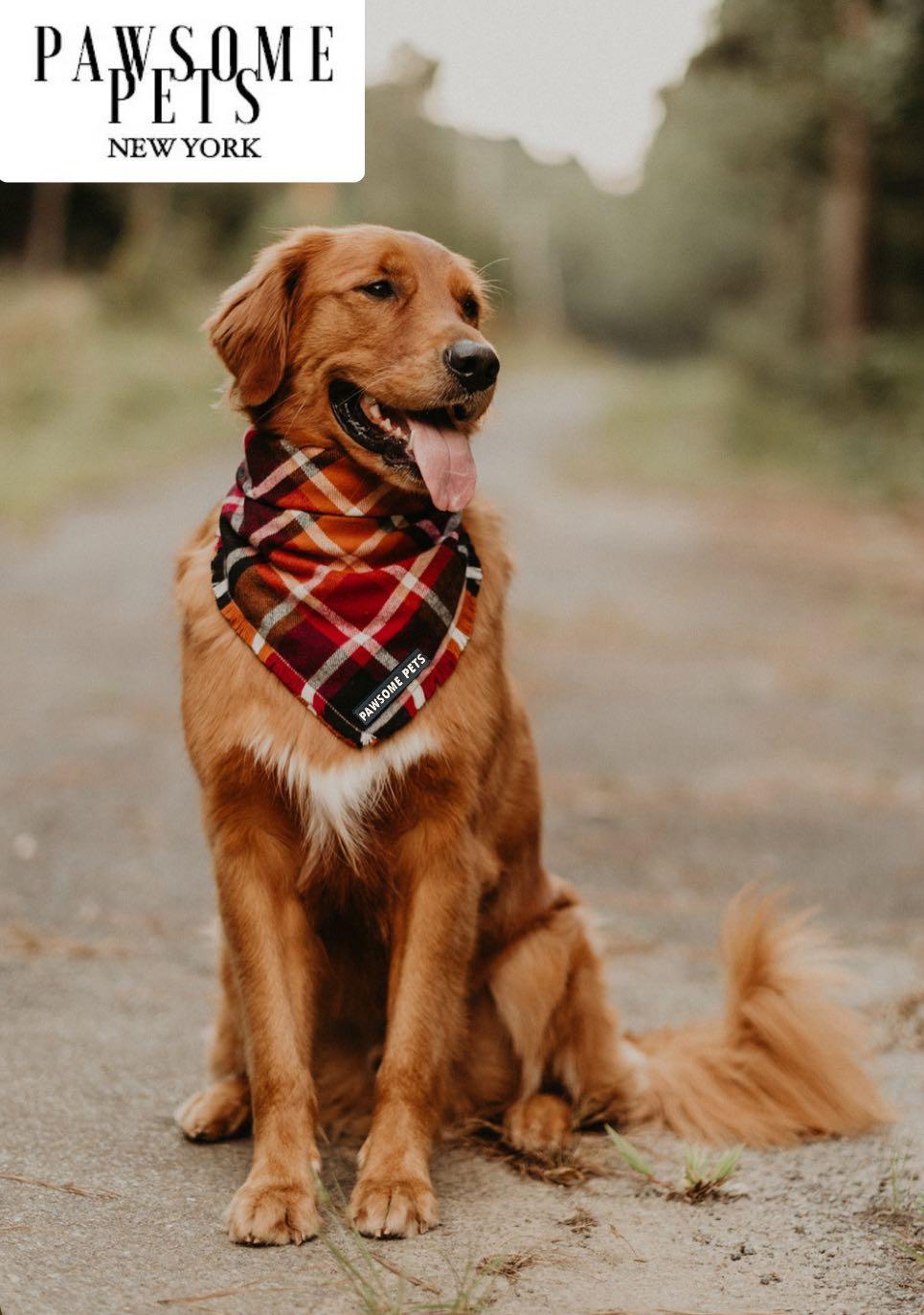 Dog Bandana - Harvest