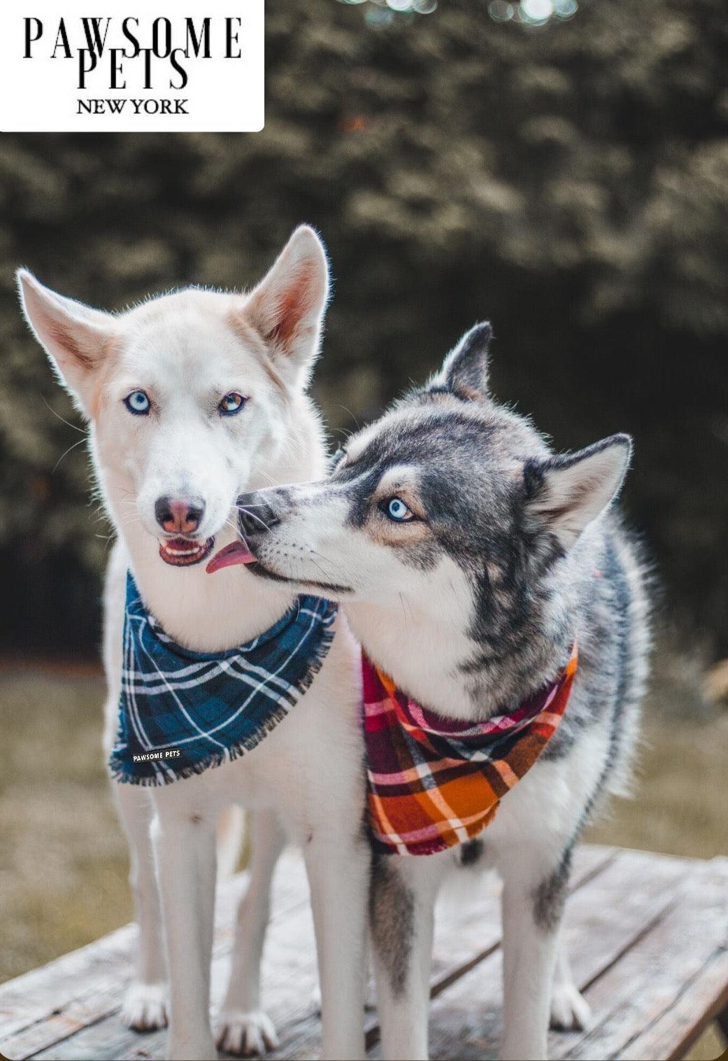 Dog Bandana - Harvest