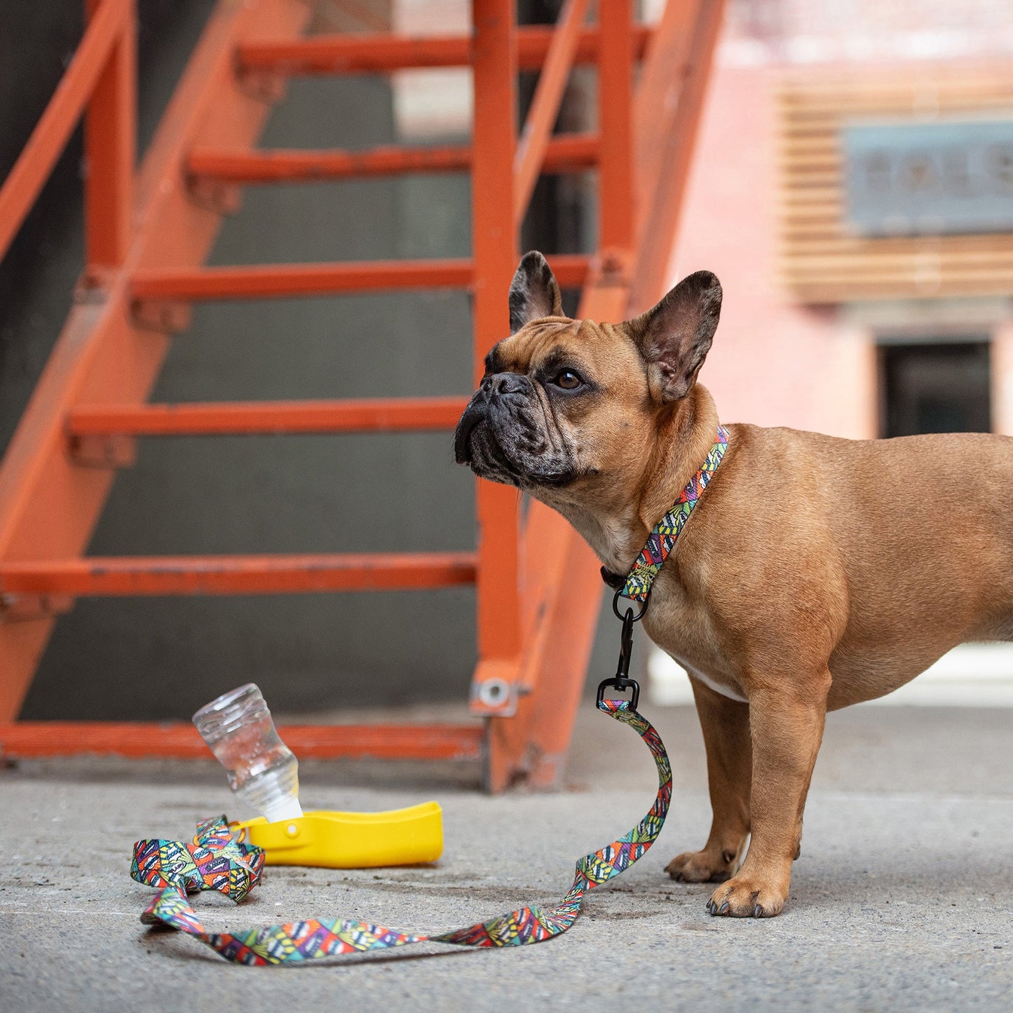 Portable Dog Water Bottle