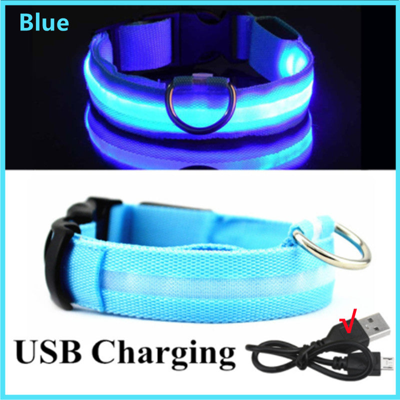 LED Dog Collar Rechargeable Light, Glow in the Dark for Night Walking
