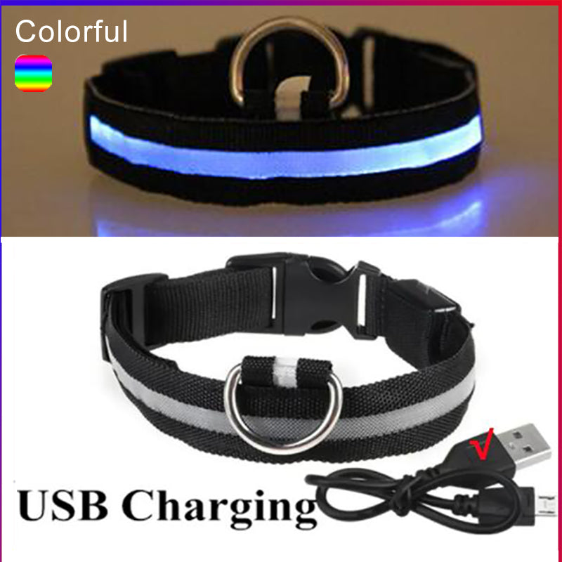 LED Dog Collar Rechargeable Light, Glow in the Dark for Night Walking