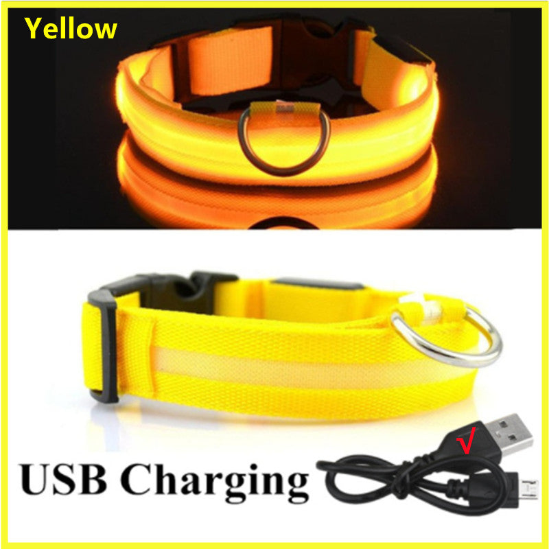 LED Dog Collar Rechargeable Light, Glow in the Dark for Night Walking