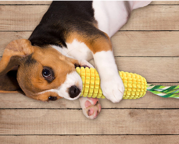 Corn Stick Dog Chew Toy
