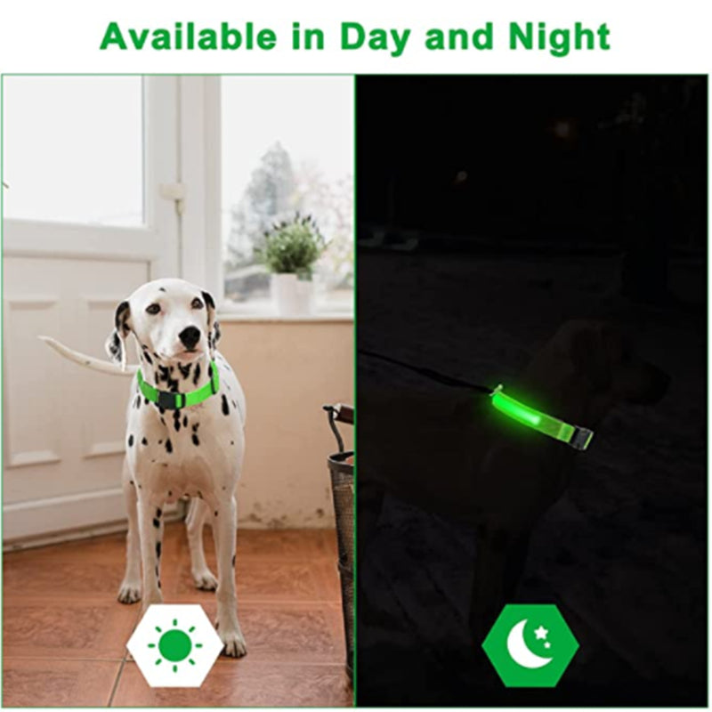 LED Dog Collar Rechargeable Light, Glow in the Dark for Night Walking
