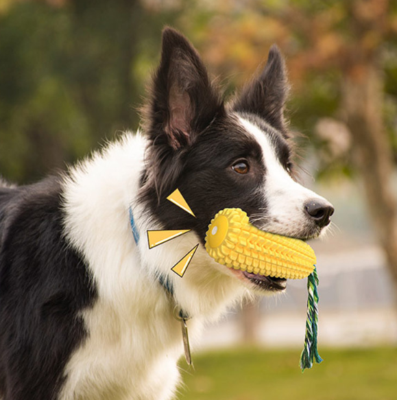Corn Stick Dog Chew Toy