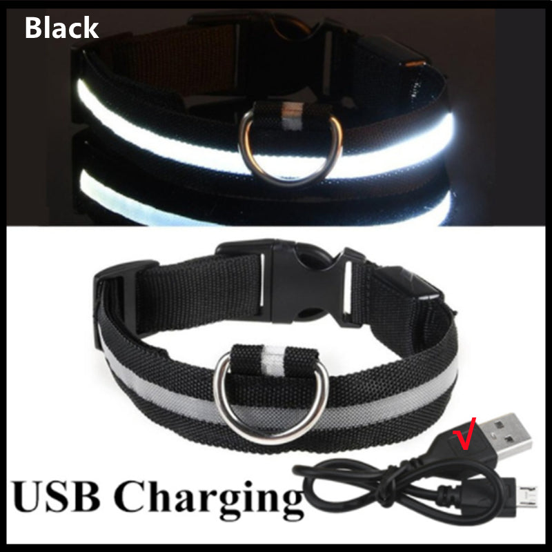 LED Dog Collar Rechargeable Light, Glow in the Dark for Night Walking
