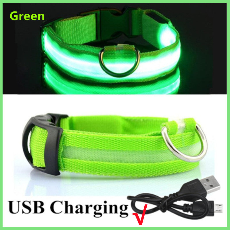LED Dog Collar Rechargeable Light, Glow in the Dark for Night Walking