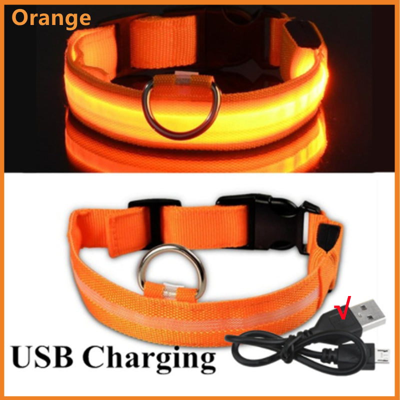 LED Dog Collar Rechargeable Light, Glow in the Dark for Night Walking