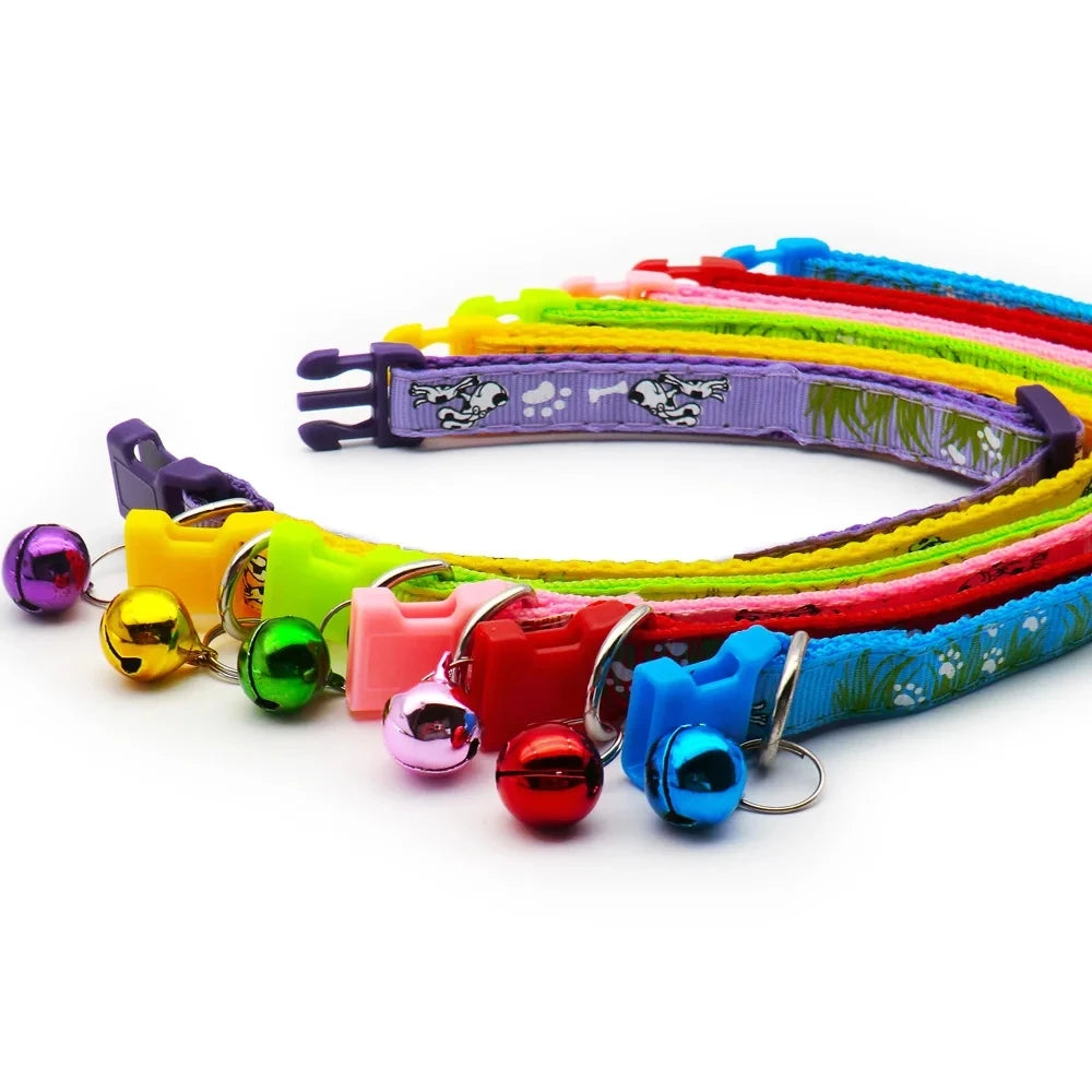 Cat Collar with Bell