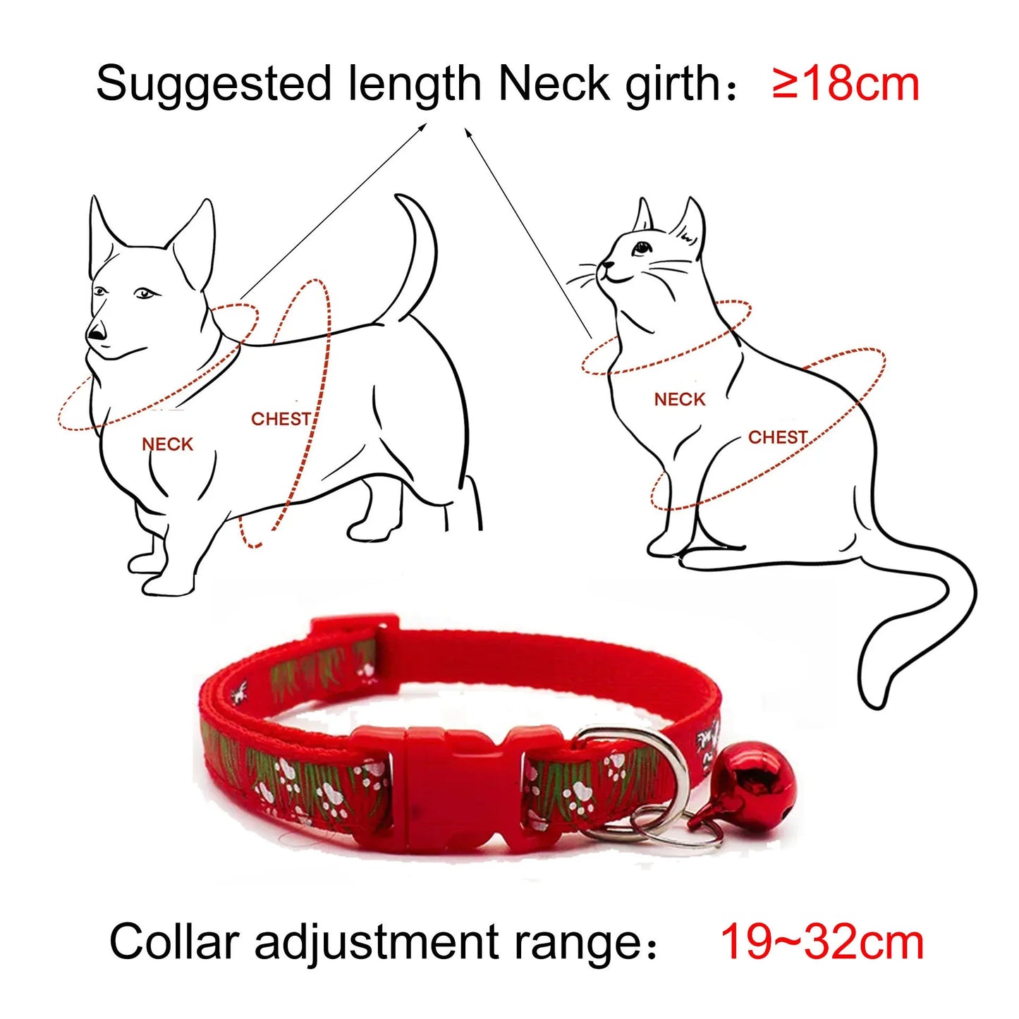 Cat Collar with Bell
