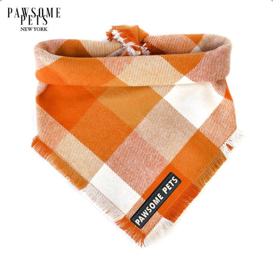 Dog Bandana - Pumpkin