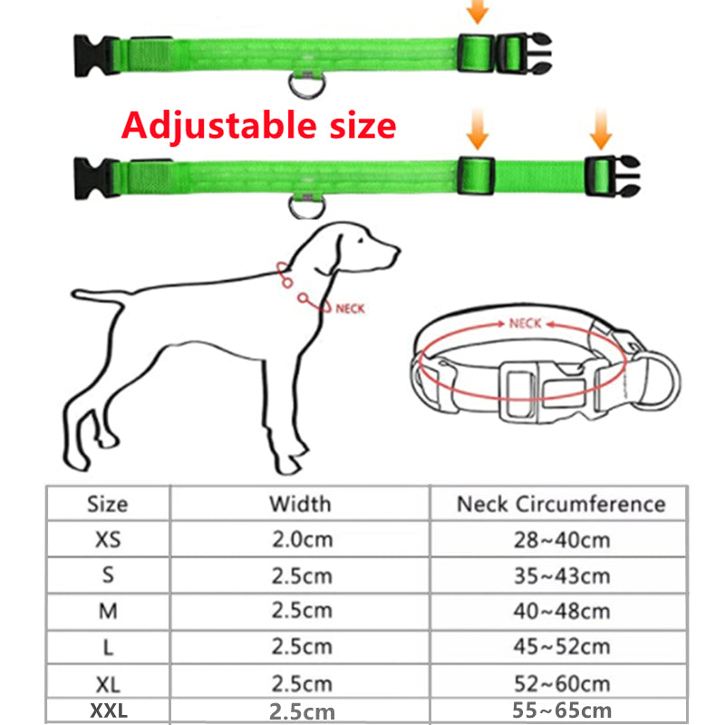 LED Dog Collar Rechargeable Light, Glow in the Dark for Night Walking