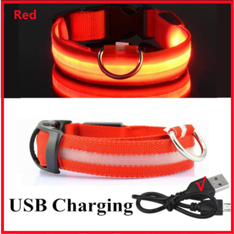 LED Dog Collar Rechargeable Light, Glow in the Dark for Night Walking