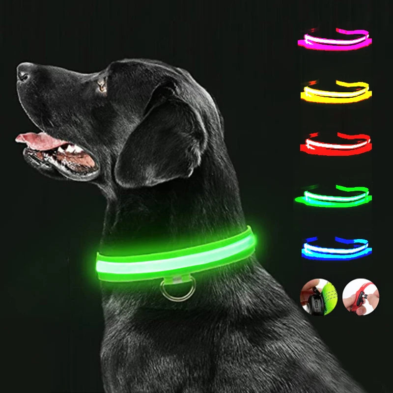 LED Dog Collar Rechargeable Light, Glow in the Dark for Night Walking